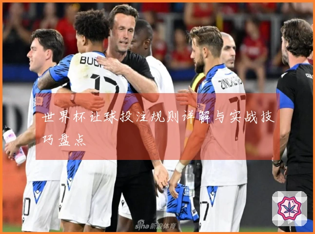 世界杯让球投注规则详解与实战技巧盘点