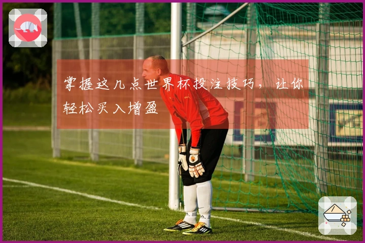 掌握这几点世界杯投注技巧，让你轻松买入增盈