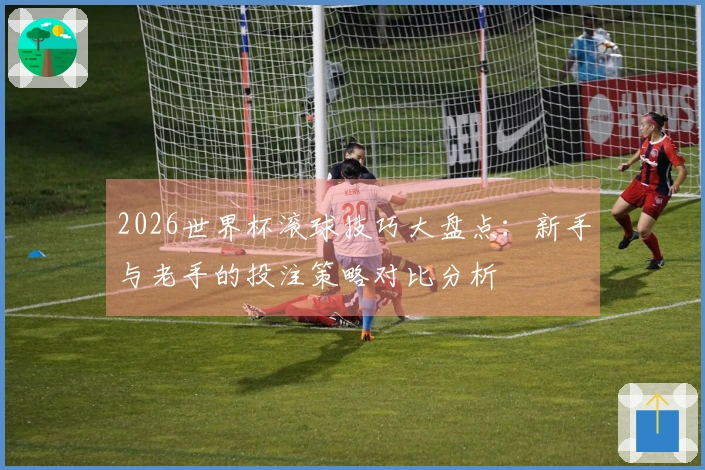 2026世界杯滚球技巧大盘点:新手与老手的投注策略对比分析
