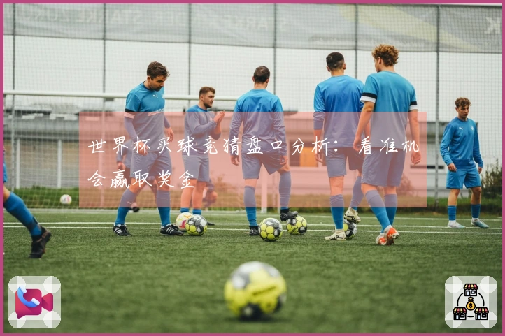 世界杯买球竞猜盘口分析：看准机会赢取奖金